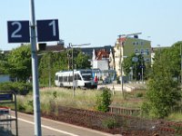 Heide